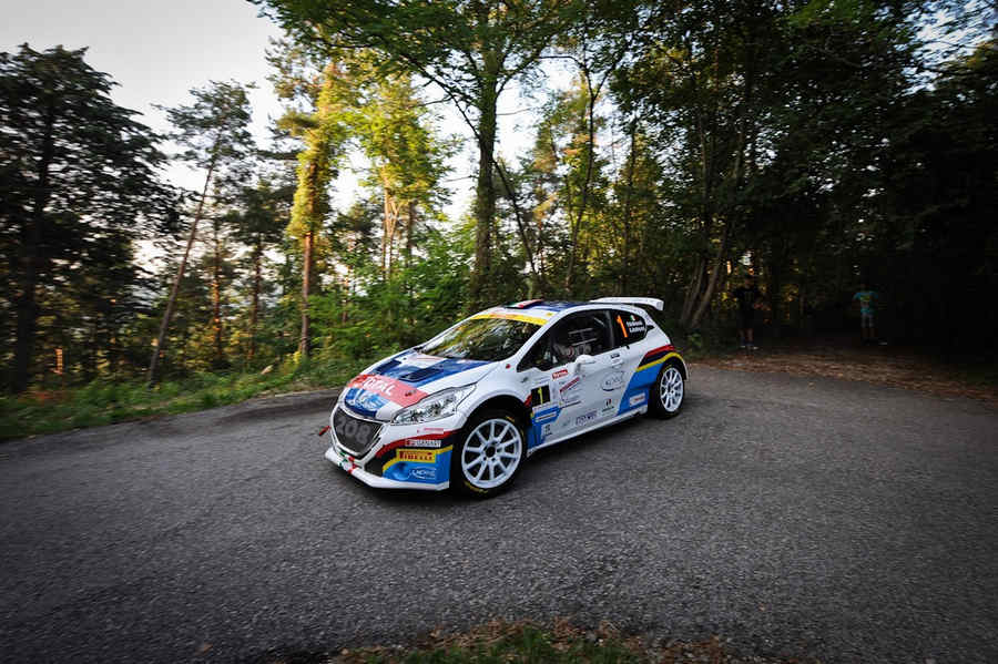 Andreucci-Peugeot-208-T16-Campione-Italiano Rally-2015-2