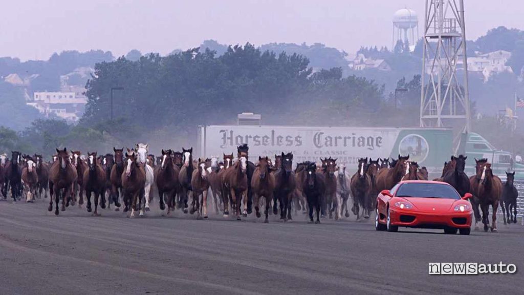foto Ferrari da 400 cavalli vapore inseguita da cavalli