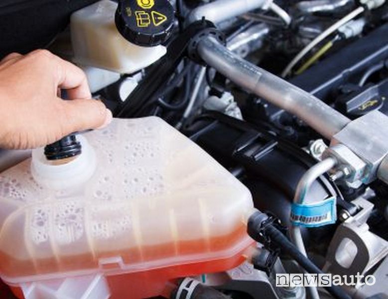 Vaschetta del circuito di raffreddamento dell'automobile: il liquido refrigerante contenuto è una miscela di acqua e glicole