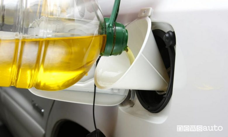 Olio di colza diesel, si può utilizzare per sostituire il gasolio?