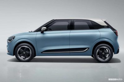 Dongfeng Box laterale