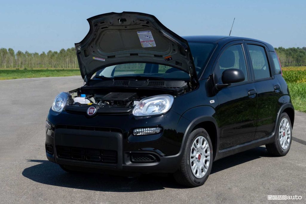 Fiat Panda Hybrid converted to biomethane