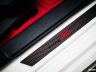 Honda Civic Type R Ultimate Edition logo battitacco anteriore
