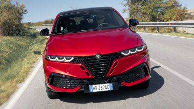Alfa Romeo Tonale Speciale su strada