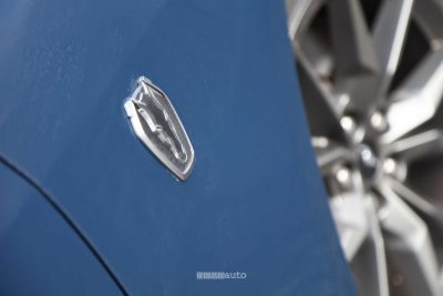 Ford Mustang logo Dark Horse